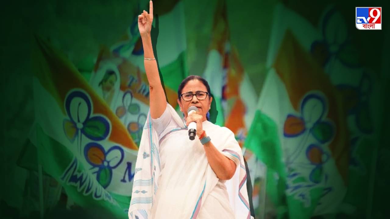 TMC in Meghalaya: মুকুলে ভরসা করে মেঘ-রাজ্যের ঘাসফুল ফোটাতে আত্মপ্রত্যয়ী তৃণমূল