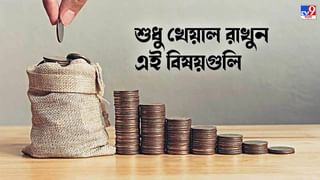 Share Market Investment : আকাশছোঁয়া রিটার্ন, টাটা থেকে ইনফোসিস, কোথায় বিনিয়োগে নতুন বছরে বড় লাভ?