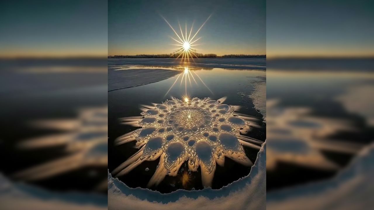 China ice flowers: চিনের নদীতে ফুটল 'বরফের ফুল', আজও মানুষকে বিস্মিত করে চলেছে প্রকৃতি