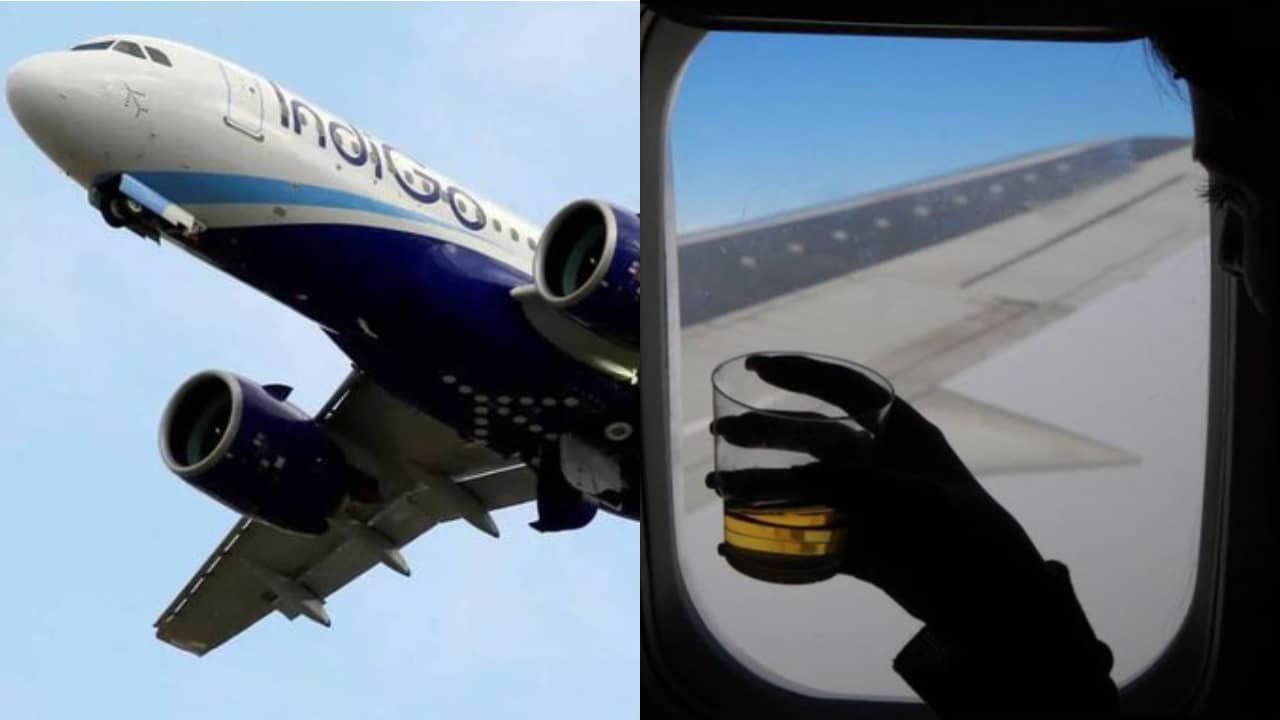IndiGo flight: টলোমলো পায়েই উঠেছিলেন, উড়ান চলাকালীন ইন্ডিগোর বিমানে মদের ফোয়ারা, আটক ২