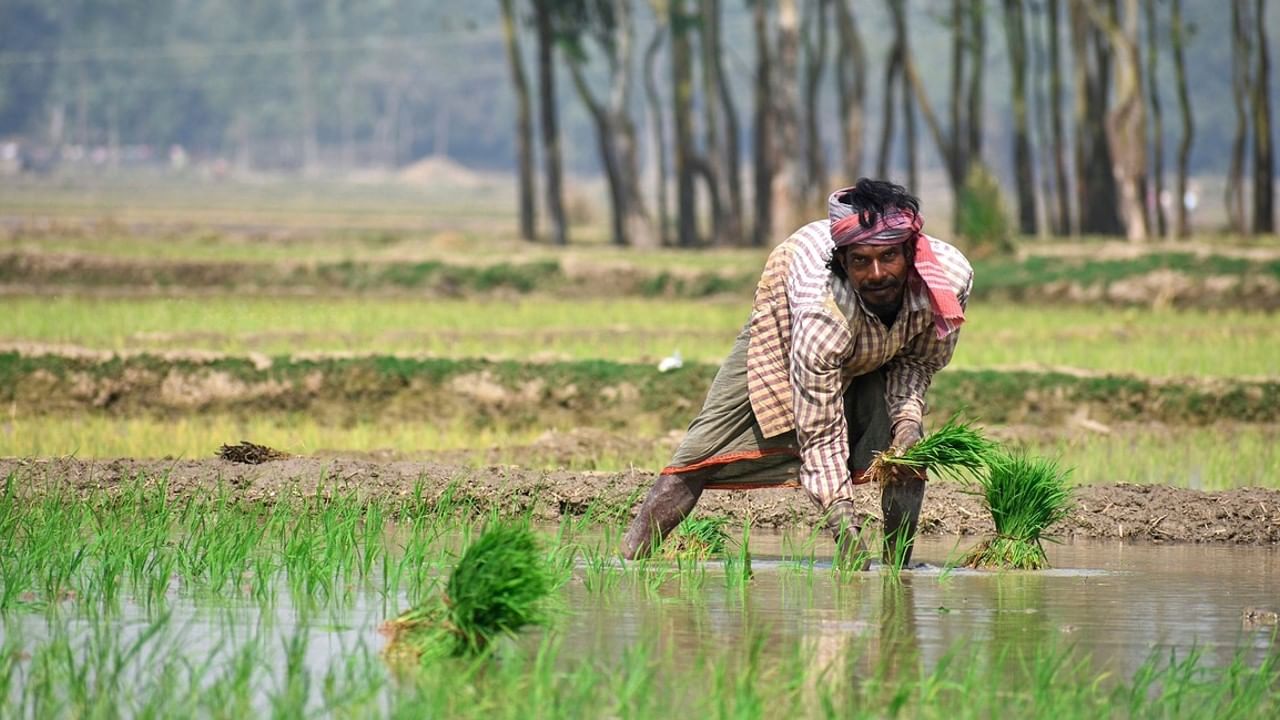 এদিকে মনে রাখতে হবে যেসব কৃষকরা ২ হেক্টর বা তার কম জমির মালিক তাঁরা এই পিএম কিষাণ যোজনার জন্য যোগ্য হবেন। এদিকে এই যোজনায় রেজিস্ট্রেশন প্রক্রিয়া নিয়ে বা কিস্তির টাকা পেতে কোনও কৃষক অসুবিধার সম্মুখীন হলে তাঁরা হেল্পলাইন নম্বরে কল করতে পারেন। 155261 বা 1800115526 বা 011-23381092 নম্বরে কল করে নিজের সমস্যার কথা বলতে পারেন বা pmkisan-ict@gov.in-এ মেল করতে পারেন। 