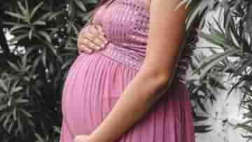 Pregnant Womans Right: সন্তান রাখার ব্যাপারে মায়ের সিদ্ধান্তই চূড়ান্ত,৩৩ সপ্তাহে গর্ভপাতের অনুমতি দিল বোম্বে হাইকোর্ট