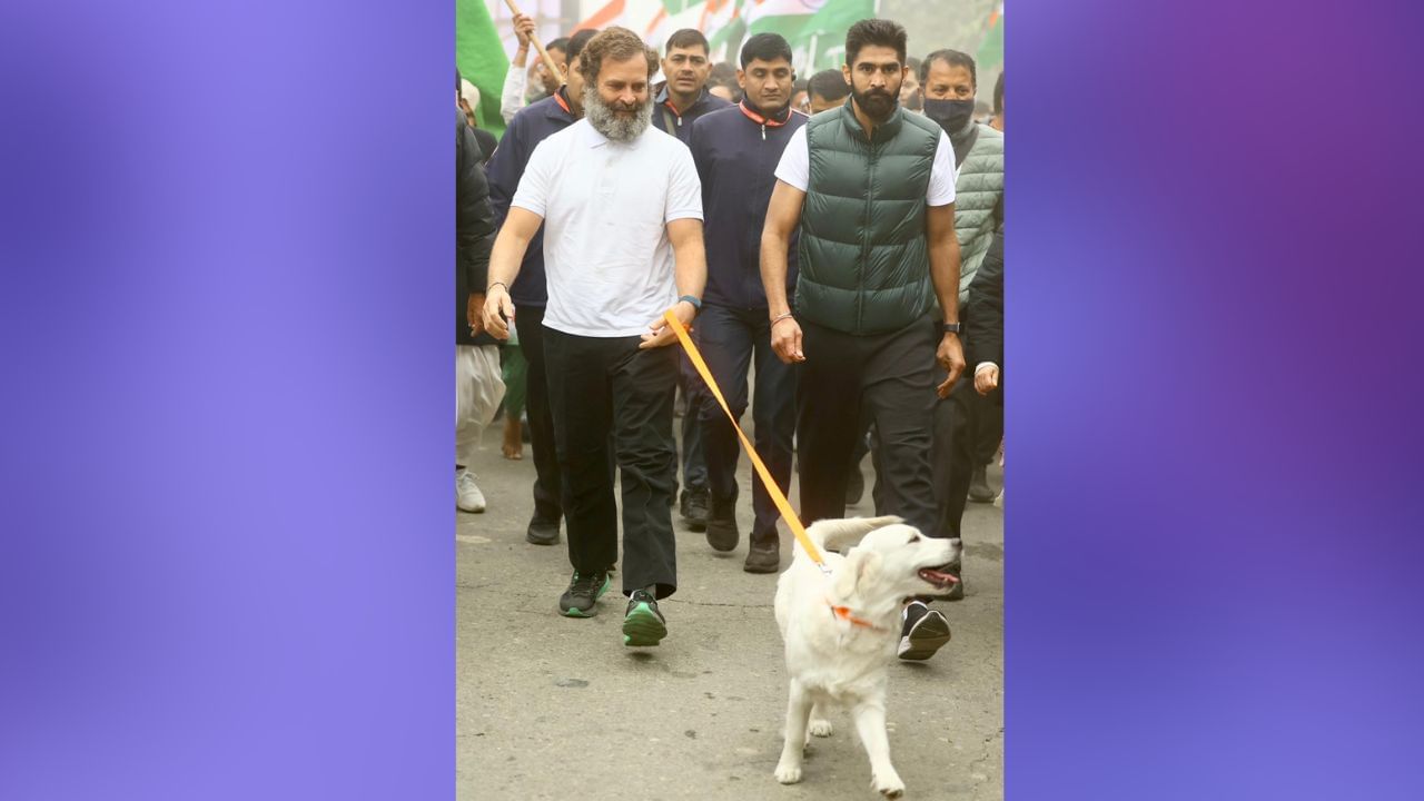 শনিবার সকালে রাহুল গান্ধীর ভারত জোড়ো যাত্রা হরিয়ানায় প্রবেশ করে। সেখানেই অত্যুৎসাহে পদযাত্রায় সামিল হয়েছে লুনা।