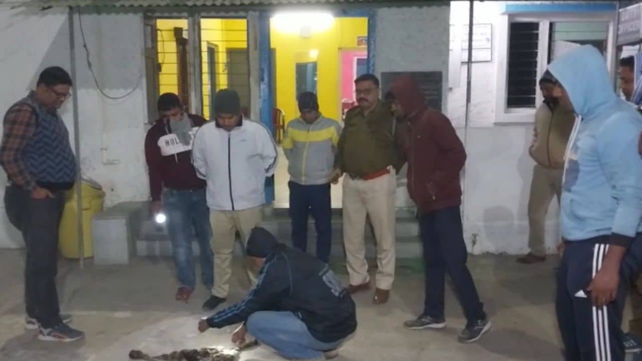 Sundarban Deer: কোর এলাকা থেকে ধরে আনে, পাড়ায় তাকে নিয়েই চলে পুরুষদের মোচ্ছব, শেষে মেরে বেঁচে দেয় বাজারে! শিউরে ওঠার মতো কাণ্ড