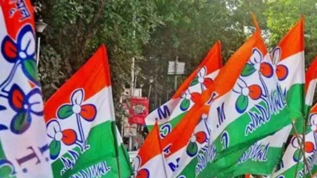 TMC Clash: ব্লক সভাপতির বিরুদ্ধে স্বজনপোষণের অভিযোগ, তৃণমূলের ১৪ জন যুব সভাপতির গণইস্তফা