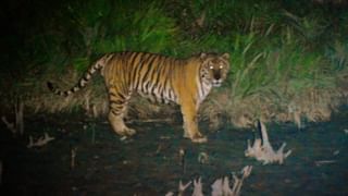 Joynagar Snake: পুজো দিতে যান, অদ্ভুত শব্দ শুনে ঠাকুরঘরে প্রৌঢ়াকে দেখেই গায়ে কাঁটা বাড়ির লোকেদের