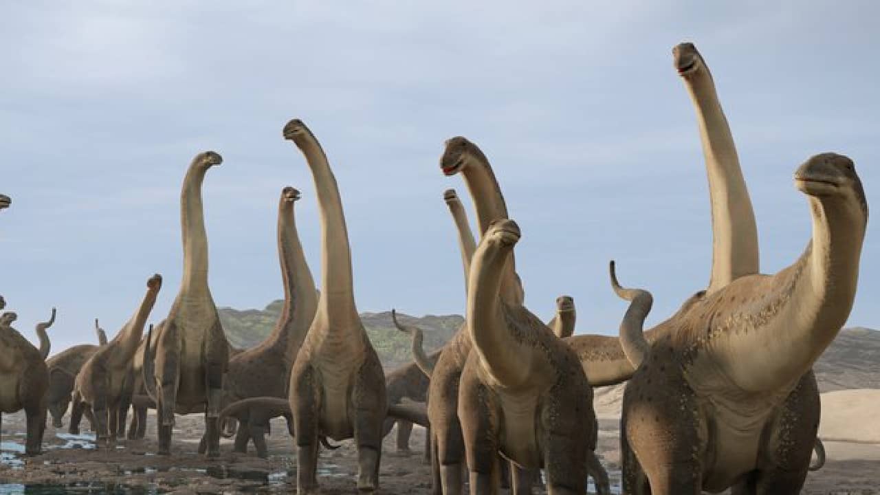 Madhya Pradesh: নর্মদায় মিলল ডাইনোসরের ৯২টি বাসা, ২৫৬টি দৈত্যাকার টাইটানোসরের ডিম