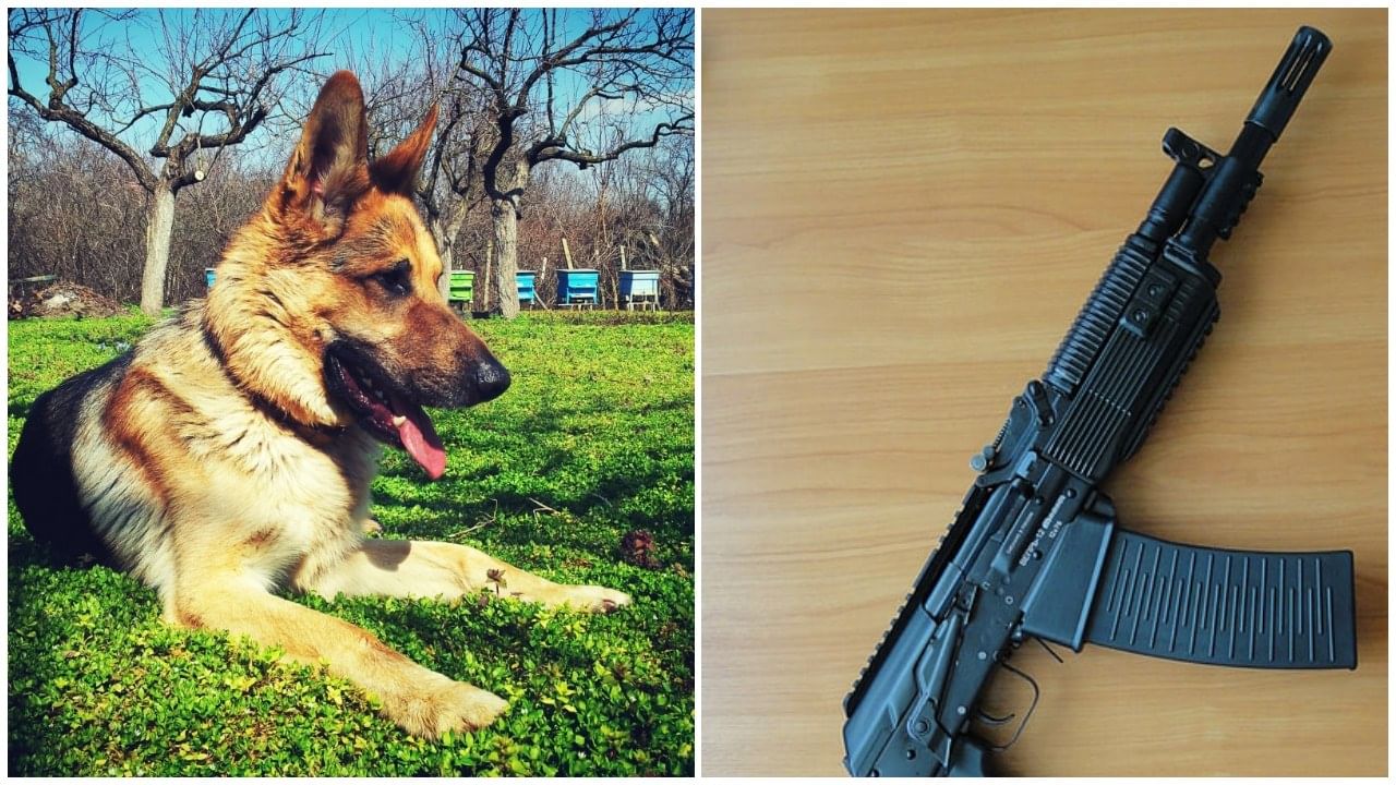 USA man killed by pet dog: পোষা কুকুর চালাল গুলি! শিকার করতে বেরিয়ে বিস্ময়কর মৃত্যু