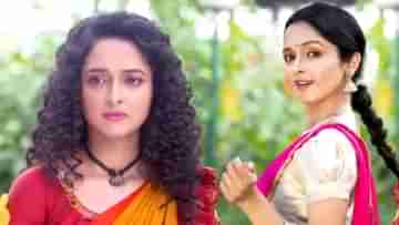 Bengali Serial: নতুন ধারাবাহিকে ফিরছেন বীণাপাণি, নায়ক কে জানেন?