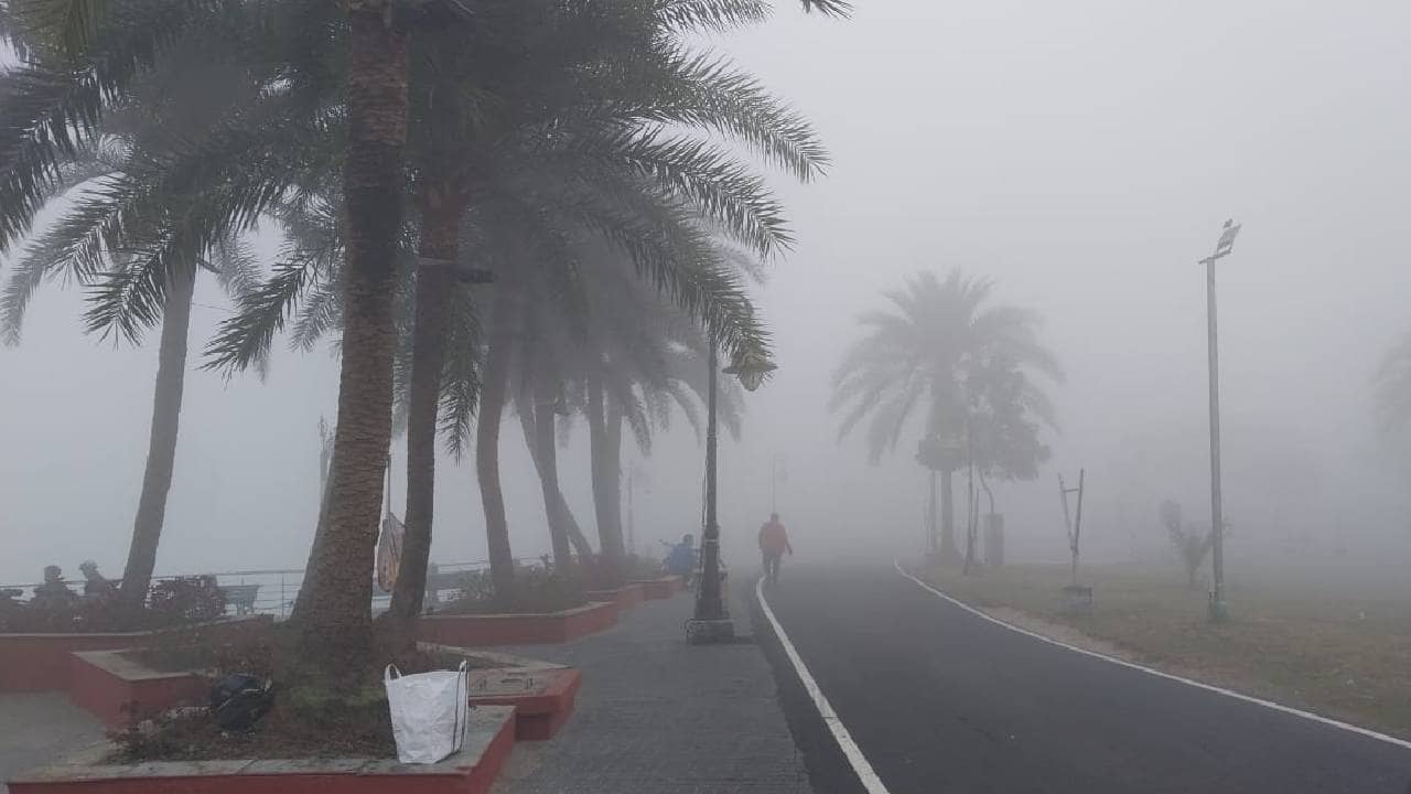 Weather Updates : পৌষ শেষে শীতের দফারফা, কুয়াশায় ঢেকেছে রবির সকাল, বিমান চলাচলে সমস্যা কলকাতা বিমানবন্দরে