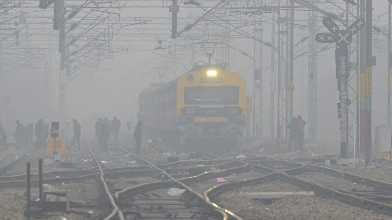 Delhi Weather Update: দিল্লিতে দেড়, রাজস্থানে শূন্য- পৌষেই টের পাচ্ছে বাঘ…দেখুন ছবিতে