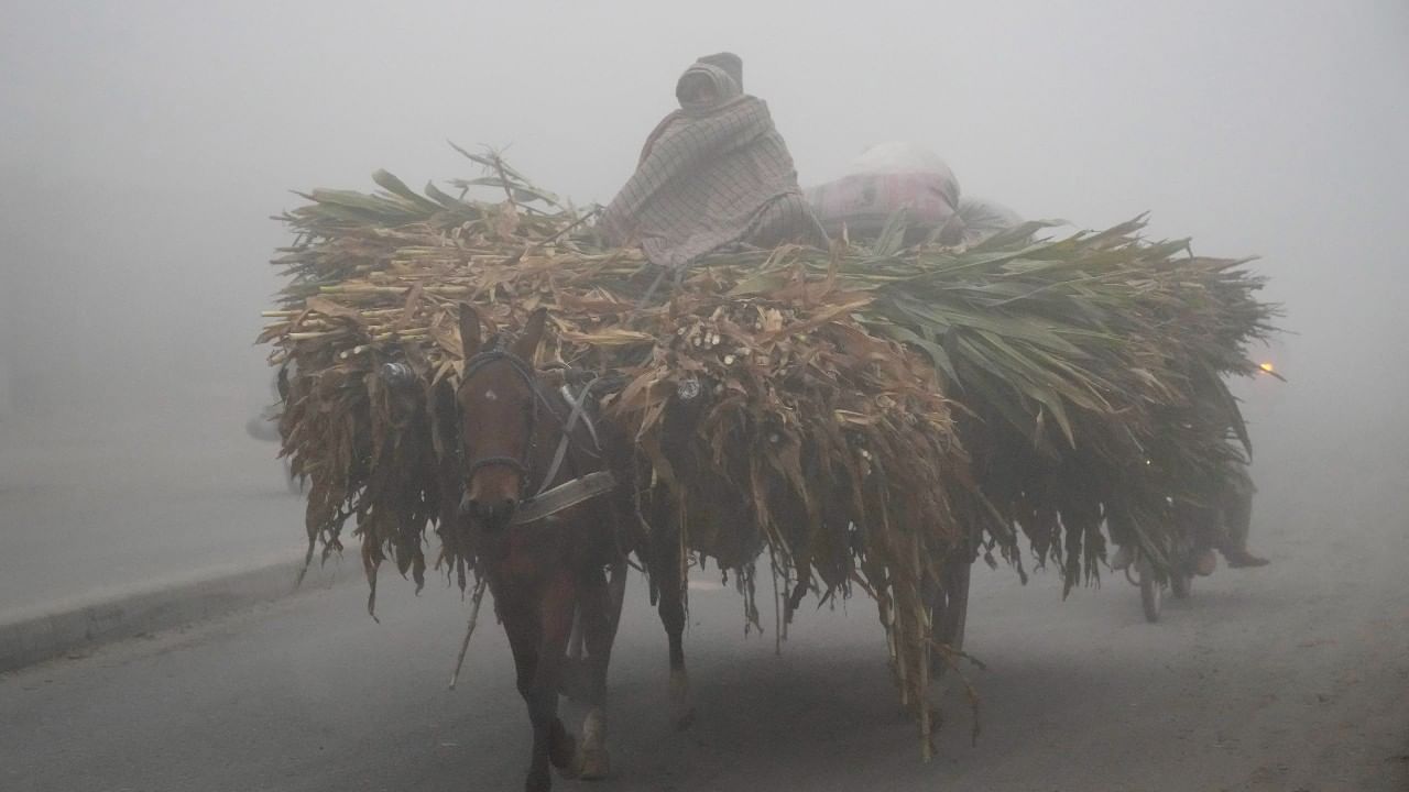 এদিকে দিল্লি ছাড়াও একাধিক রাজ্যের তাপমাত্রা প্রকাশ করেছে মৌসম ভবন। মধ্য প্রদেশের নাওগং এলাকায় সর্বনিম্ন তাপমাত্রা হয়েছে ০.৫ ডিগ্রি সেলসিয়াস। সেখানে রাজস্থানের চুরুতে শূন্যে নেমে গিয়েছে পারদ। রাজস্থানের বিকানেরে গতকাল ০ ডিগ্রি সেলসিয়াসে নেমেছিল সর্বনিম্ন তাপমাত্রা। (ছবি সৌজন্যে: PTI)