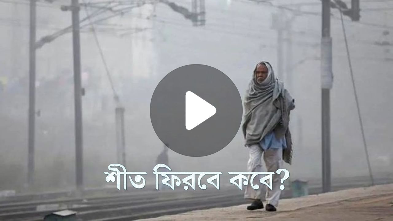 Weather Report Today: নববর্ষে বাঙালির শীত ভাগ্য খারাপ, আর কবে ফিরবে ঠান্ডা?