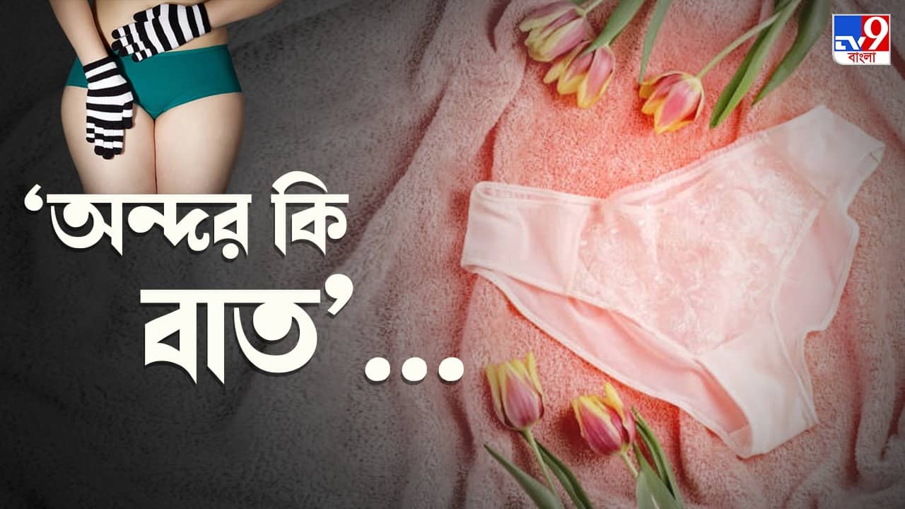 Types Of Panties: প্যান্টিতেও যখন ফ্যাশান, আরমদায়ক পোশাকের সঙ্গে যথাযথ অন্তর্বাস বাছাইও জরুরি