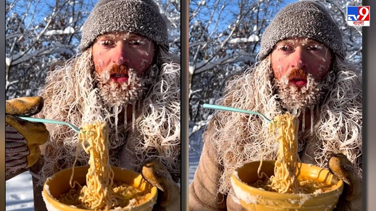Viral Video: বরফে ম্যাগির দশা কাঠির মতো! চুল-দাড়ি আর নুডলস আলাদা করা দায়