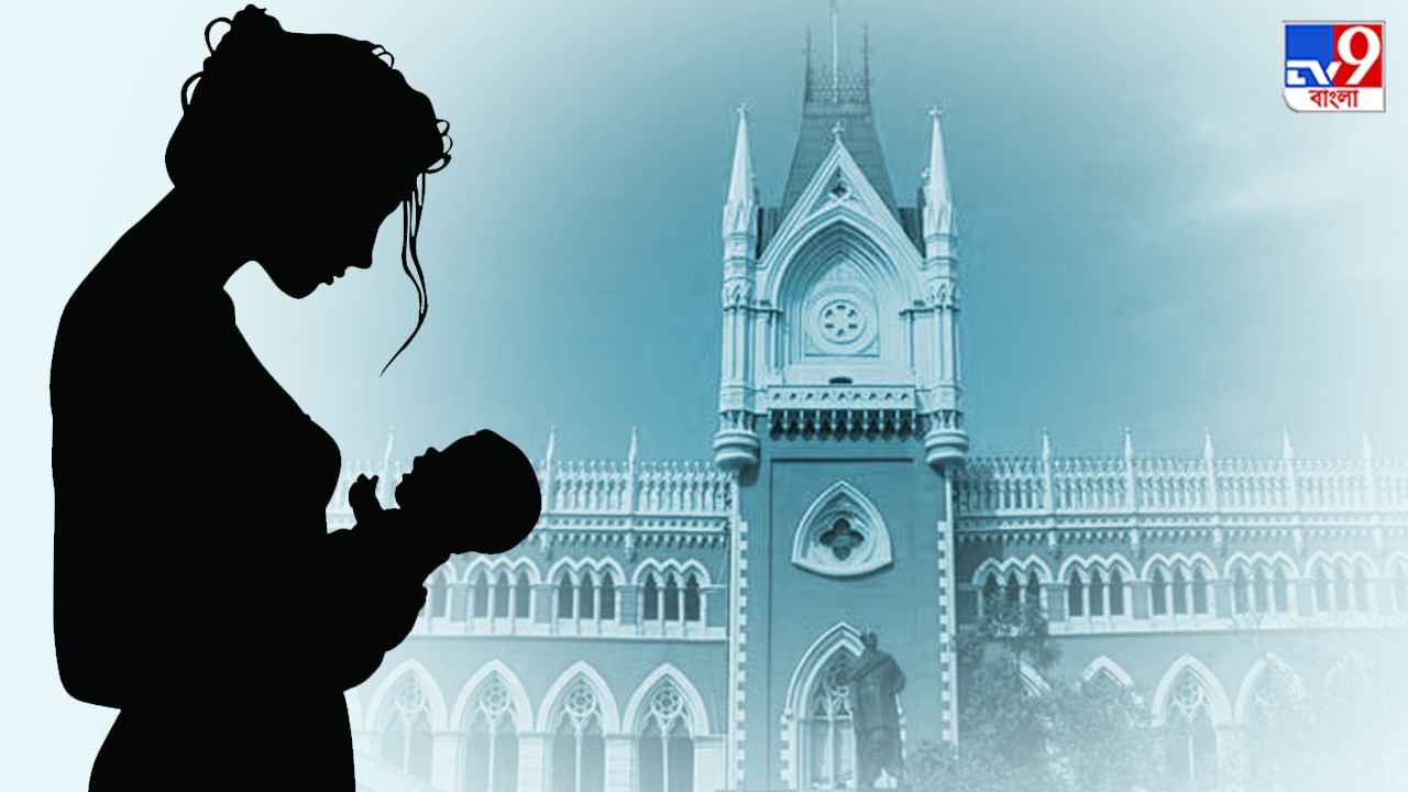 Calcutta High Court: প্রমাণ করতে হবে ভারতীয় না বাংলাদেশি! ১৮ মাসের সন্তান কোলে আদালতের রায়ের অপেক্ষায় সোহিনী
