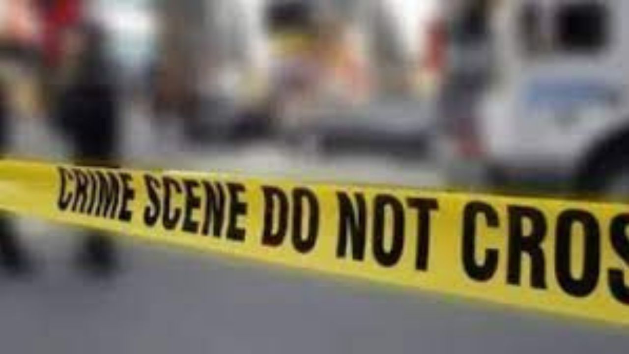 Delhi Accident: বনেট খোলা, ঝুলছে ১ ব্যক্তি, ছুটছে গাড়ি, হাড়হিম করা ঘটনা দিল্লিতে
