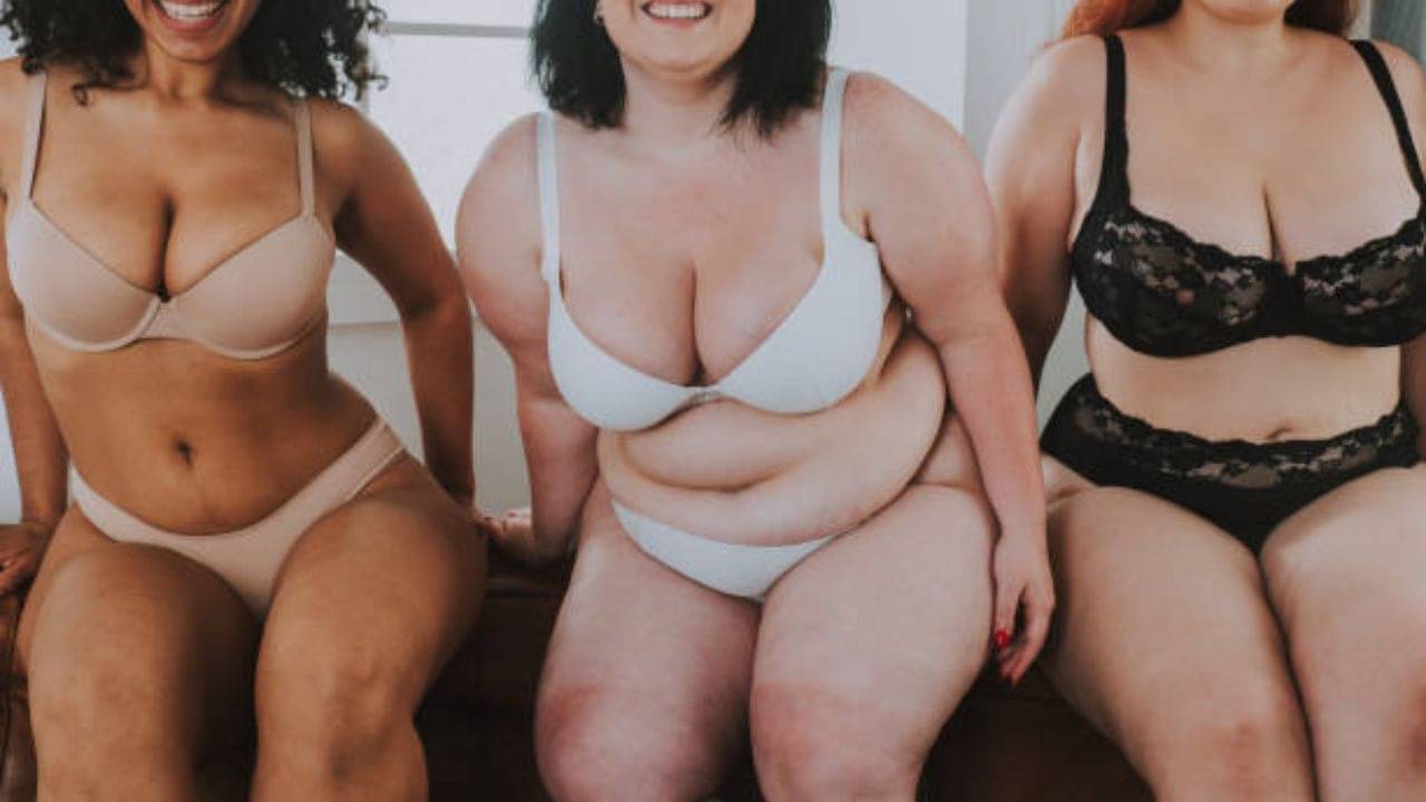 Bra for Plus Size: সব ধরনের ব্রা ফিট হয় না প্লাস সাইজ়দের, কেমন অন্তর্বাস পরলে ভাল দেখাবে বক্ষযুগল?