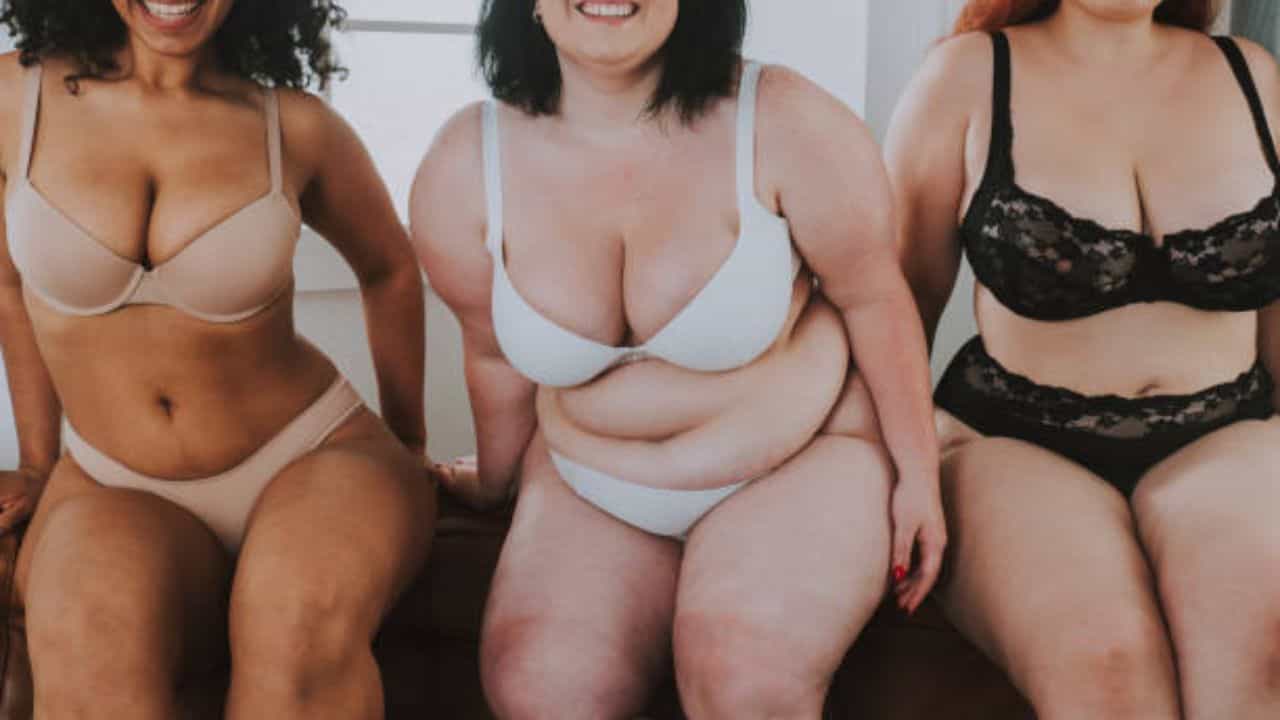 Bra for Plus Size: সব ধরনের ব্রা ফিট হয় না প্লাস সাইজ়দের, কেমন অন্তর্বাস পরলে ভাল দেখাবে বক্ষযুগল? Bra for Plus Size: সব ধরনের ব্রা ফিট হয় না প্লাস সাইজ়দের, কেমন অন্তর্বাস পরলে ভাল দেখাবে বক্ষযুগল?