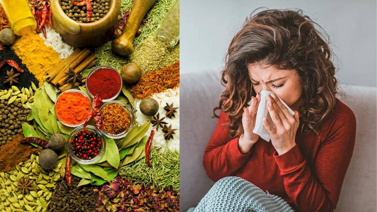 Ayurveda Tips: খামখেয়ালি আবহাওয়া! শরীরকে ফিট রাখতে মেনে চলুন সহজ এই ঘরোয়া ৩ টোটকা