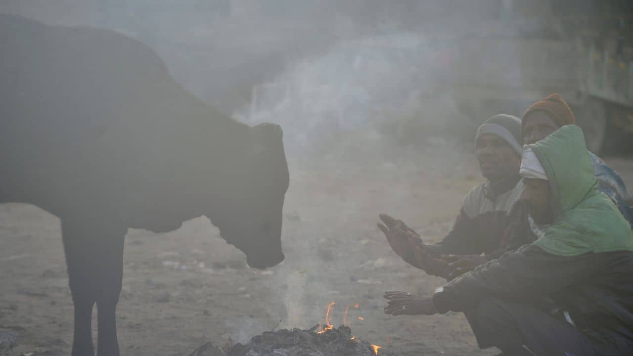 Delhi Weather Forecast: তাপমাত্রা হিমাঙ্কের নীচে নামলেও তুষারপাতের সাক্ষী হবে না দিল্লি, কারণ জানেন?