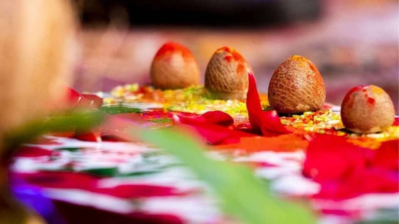 Falgun Month 2023: মাঘ আর কতদিন? ফাল্গুন মাস কবে থেকে শুরু, এর গুরুত্ব ...