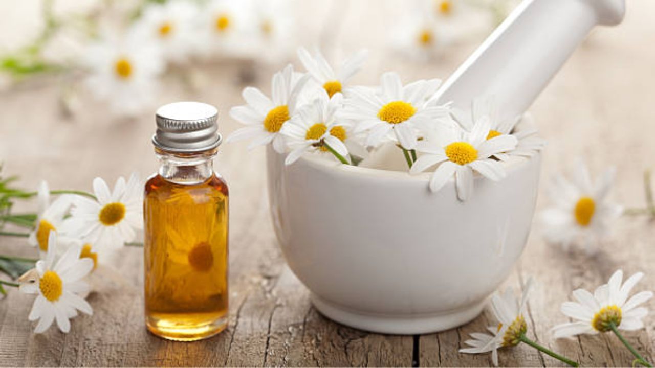 শীতের সবচেয়ে বড় সমস্যা হল খুশকি। খুশকির সমস্যা থেকে সহজে রেহাই মেলে না। কিন্তু ক্যামোমাইল তেল ব্যবহার করলে সহজেই আপনি সমস্যা দূর করতে পারবেন। এছাড়া চুল পড়ার সমস্যাও দূর করে দেয় ক্যামোমাইল এসেনশিয়াল অয়েল। 