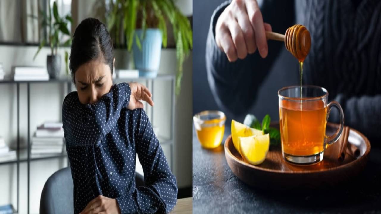 Dry Cough: শুকনো কাশির চোটে ঘুম হচ্ছে না রাতে? ওষুধ নয়, কাজে লাগান ঘরোয়া এই সব টোটকাই