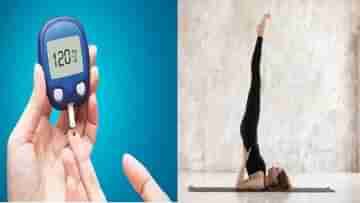 Yoga for Diabetes:  ডায়াবেটিসে দুর্বল হয়ে যায় নার্ভও, এই যোগাসন নিয়মিত করলে উপকার পাবেনই