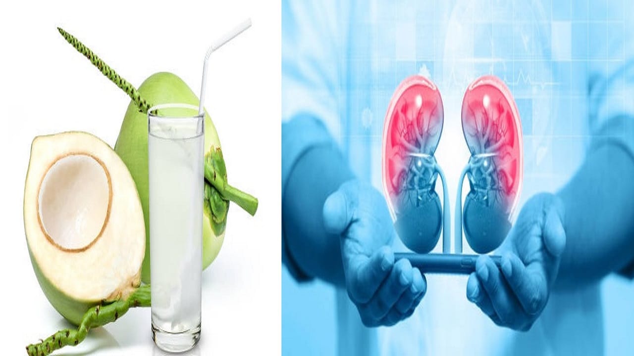 Coconut Water রোজ একটা করে ডাব খেলে এই সব সমস্যা আপনাকে ছুঁতেও পারবে