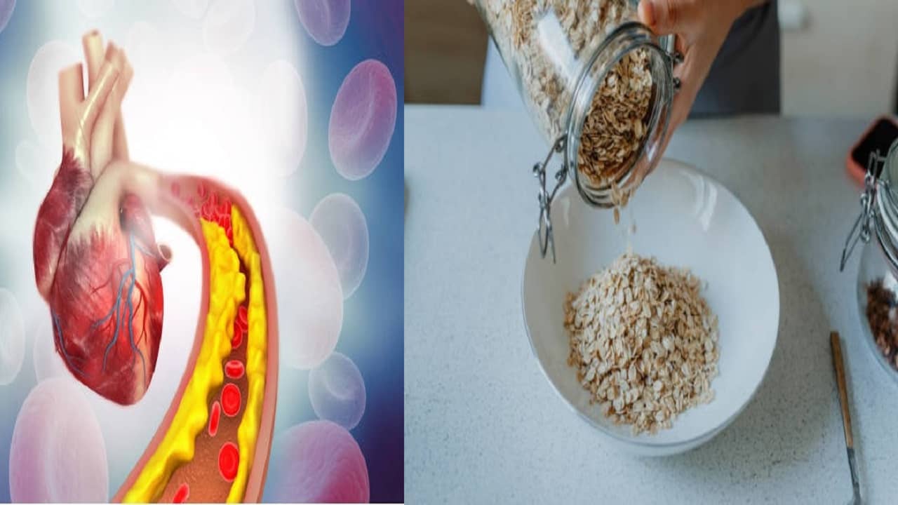 Cholesterol Problem: নিয়মিত ভাবে ফাইবার সমৃদ্ধ খাবার খেলে তবেই বশে থাকবে কোলেস্টেরল, ঠেকানো যাবে হার্ট অ্যার্টাকও