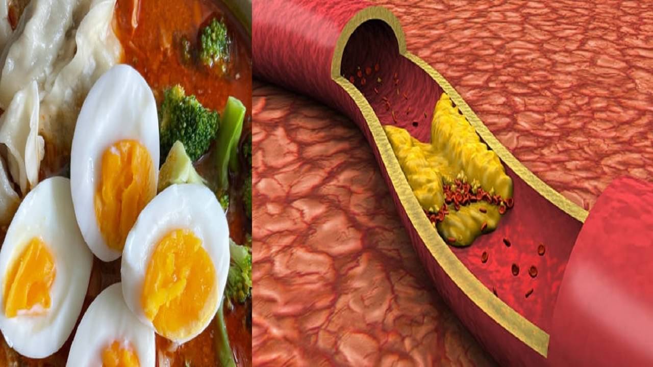 Side Effects Of Egg: ডিমের এই অংশ বিষের মতো, জানুন কারা ভুল করেও খাবেন না