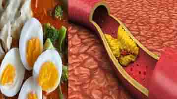 Side Effects Of Egg: ডিমের এই অংশ বিষের মতো, জানুন কারা ভুল করেও খাবেন না