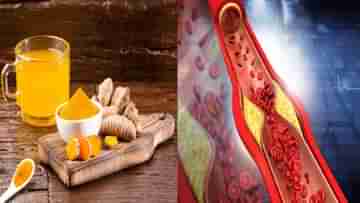 Ayurveda Tips: কোলেস্টেরল আর ট্রাইগ্লিসারাইড গলাতে দারুণ কার্যকরী এই আয়ুর্বেদ পানীয়, রোজ খেলে সুস্থ থাকবেনই