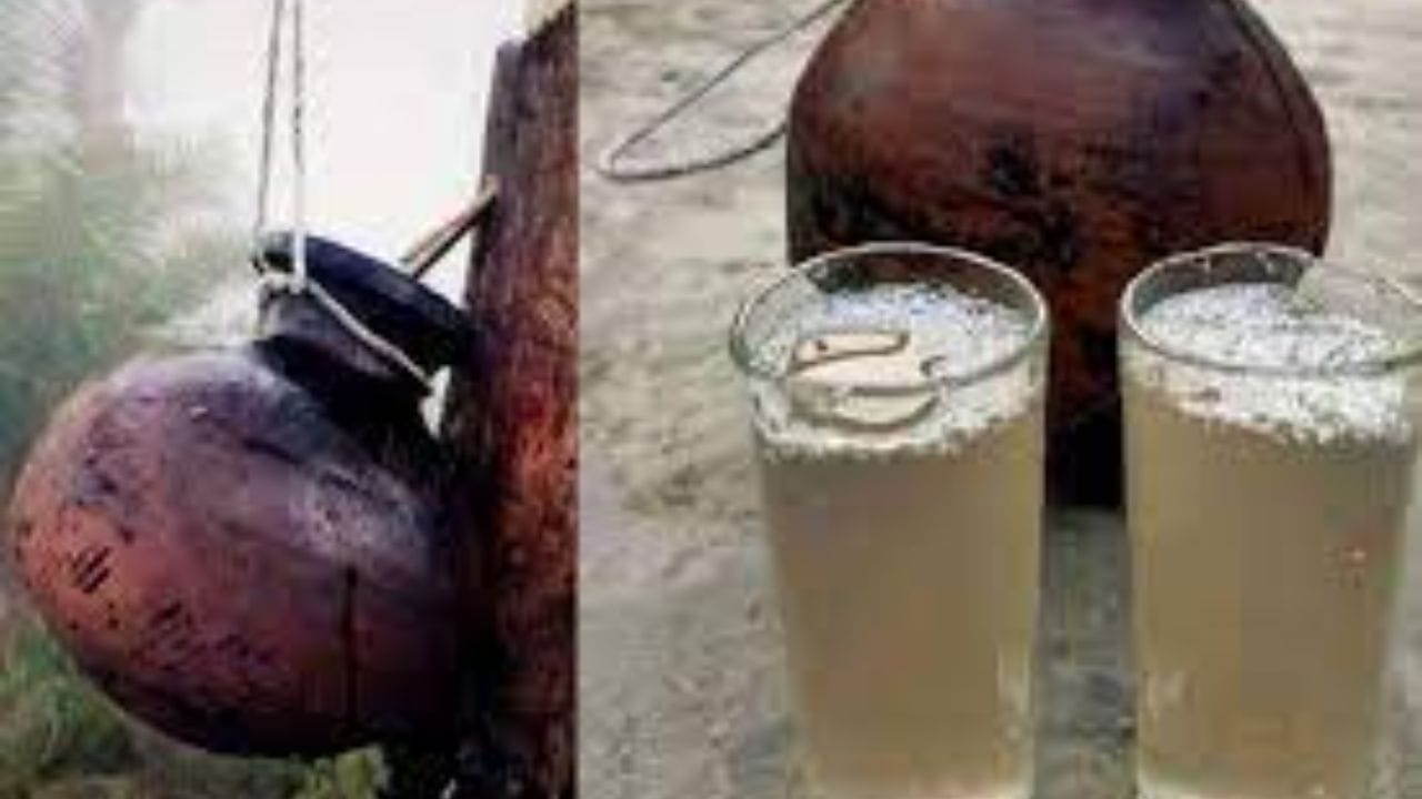 Date Juice Benefits: ঘুমিয়েও কাটছে না ক্লান্তি? রোজ সকালে একগ্লাস খেজুরের রসেই শুরু হোক দিন Date Juice Benefits: ঘুমিয়েও কাটছে না ক্লান্তি? রোজ সকালে একগ্লাস খেজুরের রসেই শুরু হোক দিন