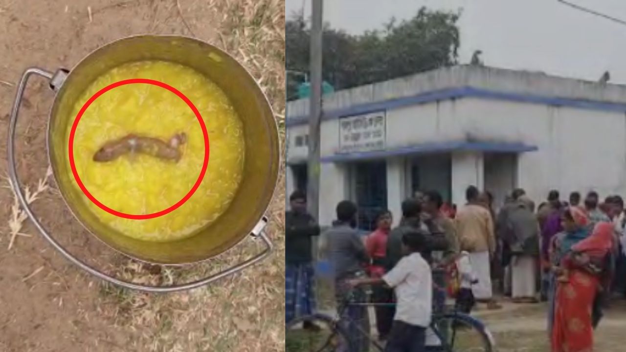 Mid Day Meal: গুলিয়ে উঠবে গা, বালতি ভরা মিড ডে মিলের খিচুড়ির উপর পড়ে রয়েছে মরা টিকটিকি