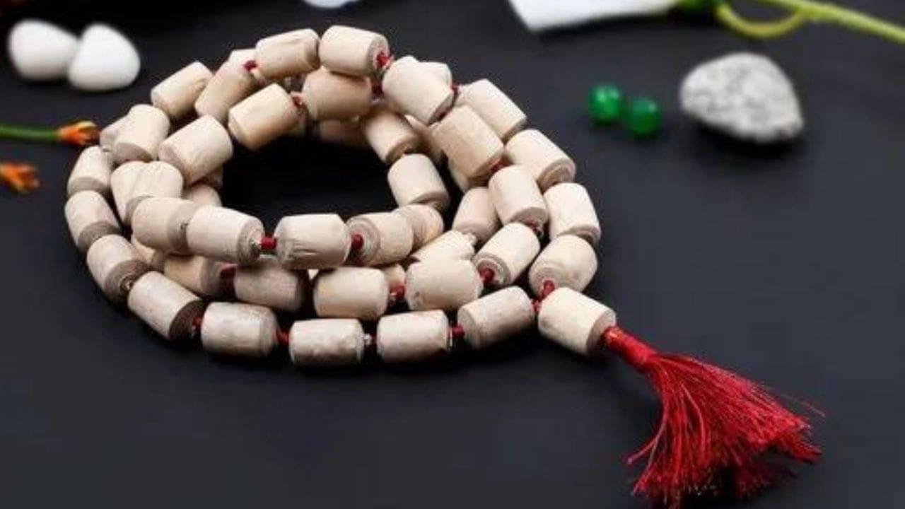 Tulsi Mala: তুলসীর মালা পরলে কী হয় জানেন? তুলসীর মালা পরার পরে মানতেই হবে এই নিয়মগুলি