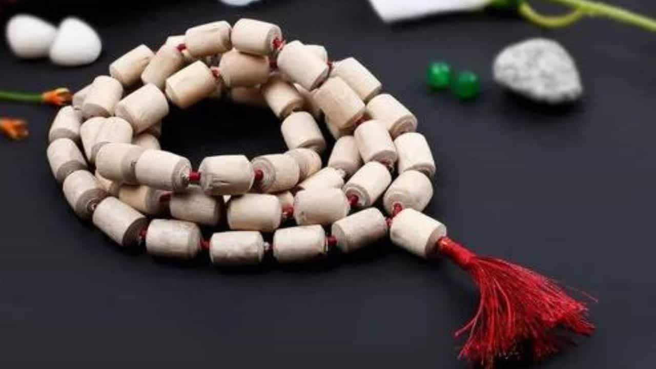 Tulsi Mala: তুলসীর মালা পরলে কী হয় জানেন? তুলসীর মালা পরার পরে মানতেই হবে এই নিয়মগুলি Tulsi Mala: তুলসীর মালা পরলে কী হয় জানেন? তুলসীর মালা পরার পরে মানতেই হবে এই নিয়মগুলি