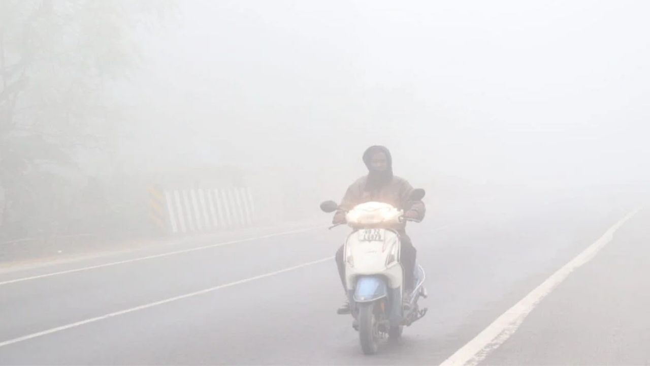  তবে উত্তরবঙ্গে ঘন কুয়াশার পূর্বাভাস রয়েছে হাওয়া অফিসের। মালদা, উত্তর ও দক্ষিণ দিনাজপুরে ঠান্ডা ভালই মালুম হবে। এই তিন জেলায় দিনের সর্বোচ্চ তাপমাত্রা স্বাভাবিকের অনেকটা নীচে থাকবে। দিনভর ঘন কুয়াশার চাদরে মোড়া থাকবে এই তিন জেলা। 