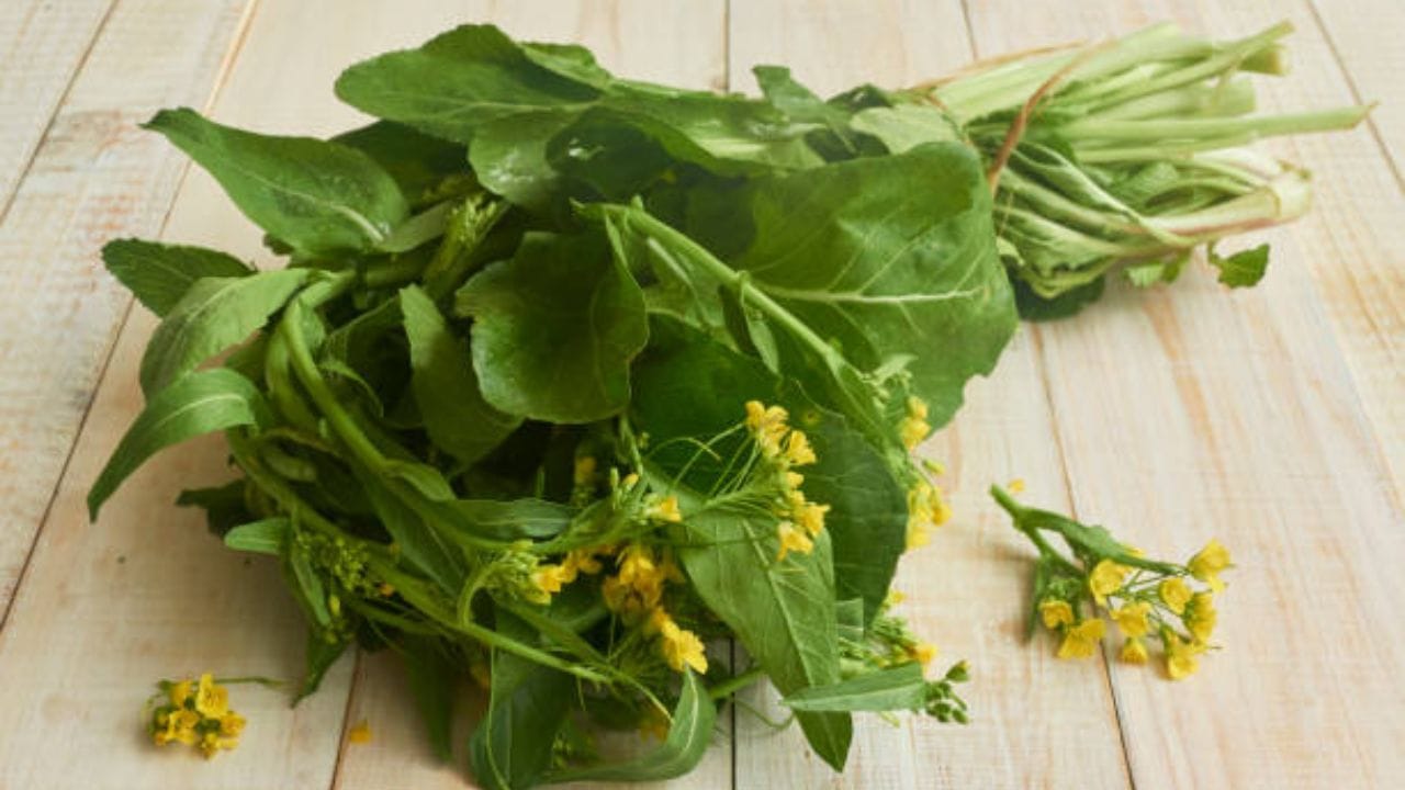 সর্ষে শাক খান। সর্ষে শাক কিন্তু ওজন কমাতে সহায়ক। এতে আয়রন, পটাশিয়াম এবং ম্যাগনেশিয়াম রয়েছে। ওজন কমানোর জন্য রুটির সঙ্গে সর্ষে খেতে পারেন। এতে উপকারই হবে। 