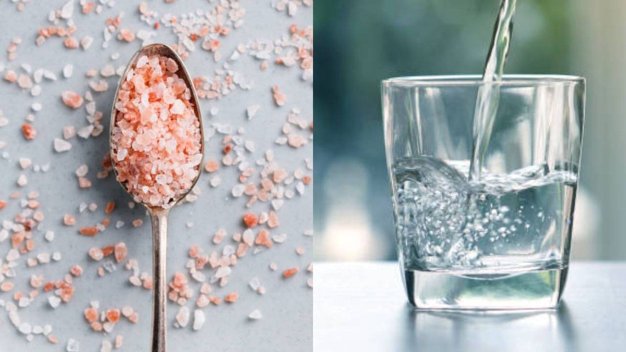 Weight Loss Drink: ওজন কমাতে নিত্যনতুন ডিটক্স ওয়াটারে বানান? জলে শুধু এক চিমটে গোলাপি নুন দিলেই কাজ হবে