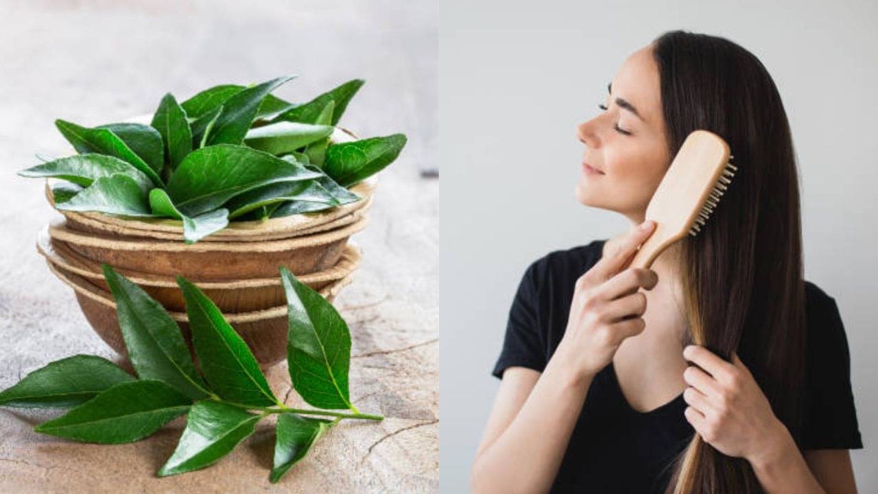 Curry Leaves for Hair: খুশকি, চুল পড়ার সমস্যা নিয়ে বিরক্ত? এই পাতার তেল মাখলেই কাজ হবে ৭ দিনে