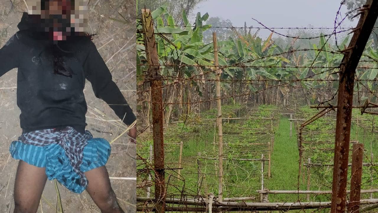 BSF : কলাবাগানে পায়ের আওয়াজ, বিএসএফের গুলিতে লুটিয়ে পড়ল বাংলাদেশী পাচারকারী