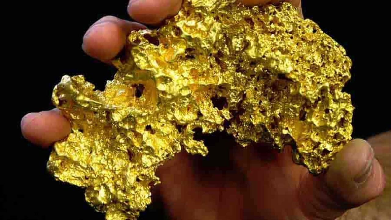 Bacteria Produces Gold: খাবার খাওয়ার পর পার্শ্ব-প্রতিক্রিয়ায় সোনা ত্যাগ এই ব্যাকটিরিয়ার, হতবাক বিজ্ঞানীরা