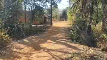 Bankura Road: রঙচঙে ফলকে লেখা সংশ্লিষ্ট তারিখ, কিন্তু তা পেরল কবেই! রাস্তার কাজ আজও রাস্তাতেই কিন্তু টাকা উধাও