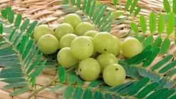 Benefits of Amla: আমলার অনেক গুণ, কিন্তু খেলেই কারা চরম বিপদে পড়বেন, জানা আছে?