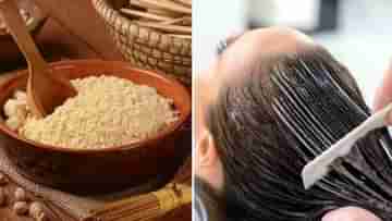 Besan Hair Mask: বেসনের হেয়ার মাস্ক! ঘন কালো একঢাল চুল পেতে আজ থেকেই ট্রাই করুন, গায়েব হবে খুশকির সমস্যা