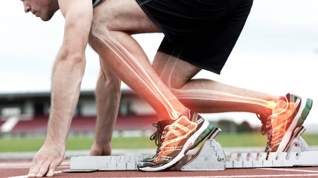 Tips to Improve Bones Health: কীভাবে মজবুত করবেন হাড়? জেনে নিন সহজ কয়েকটি উপায়