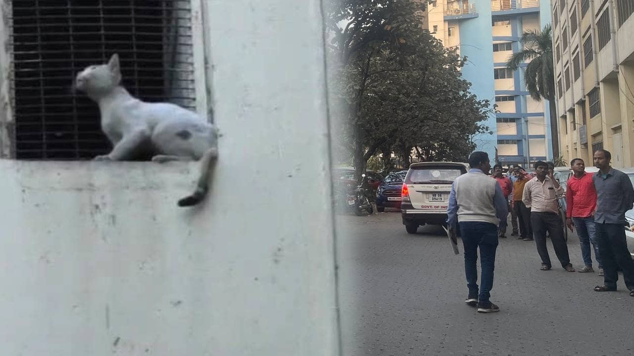 CGO Complex : সিবিআইয়ের ডাক পড়েনি, সিজিও কমপ্লেক্সের কার্নিশে ২ দিন কাটল অনাহূত অতিথি-র