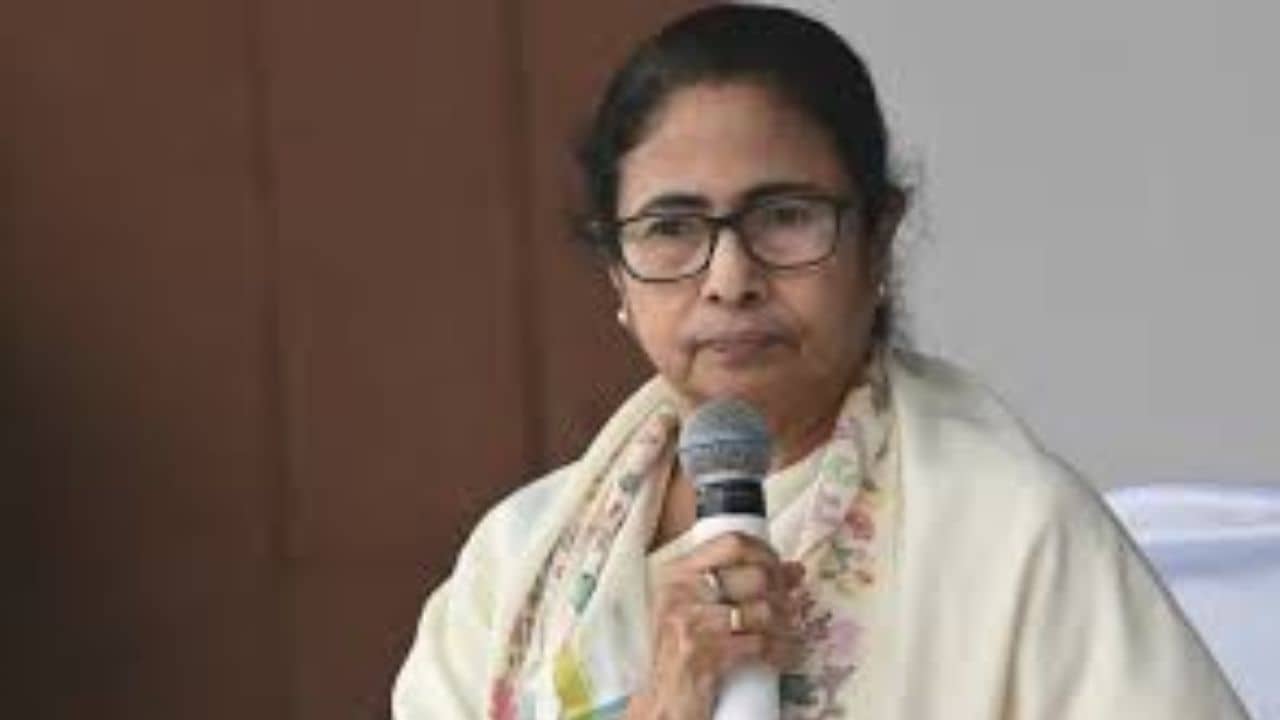 Mamata Banerjee: এবার থেকে কিছু কিছু কেস আমি লড়ব: মমতা